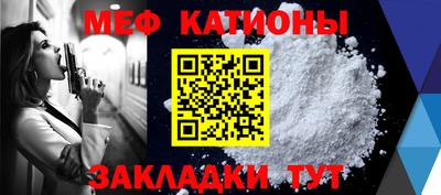 шишки Будённовск