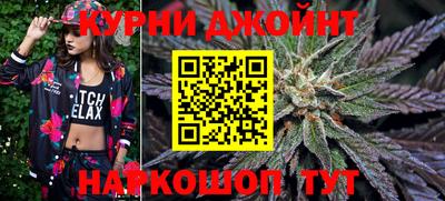 шишки Будённовск